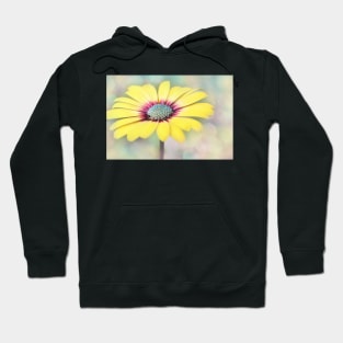 Autumn Blue Eye Hoodie